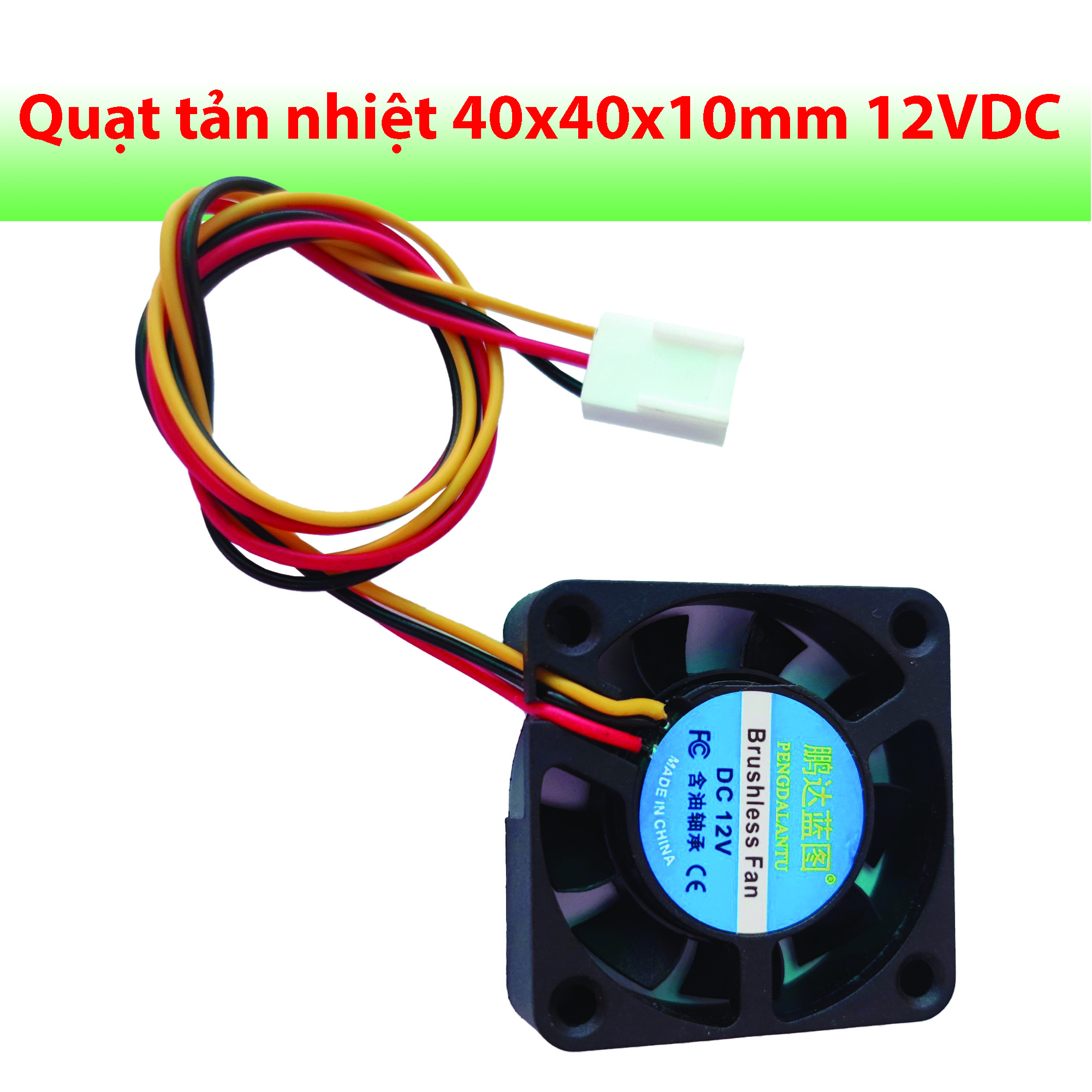 quattannhiet12v