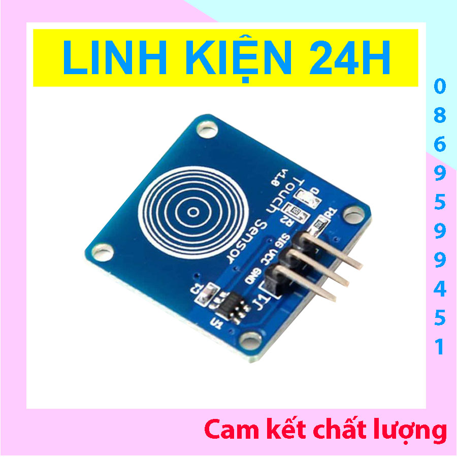 1cham5v